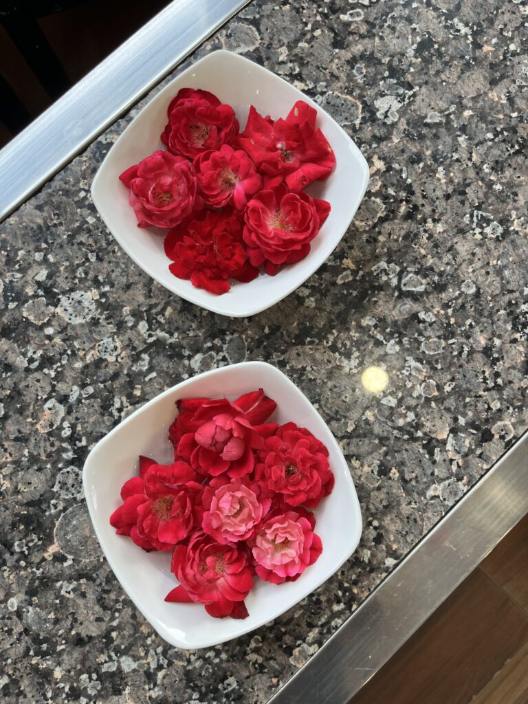 2024_09_01_17_21_IMG_8465